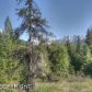 L4 Flyfishing Lane, Girdwood, AK 99587 ID:13073382