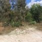 0 82 ST, Loxahatchee, FL 33470 ID:12969293