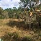 0 82 ST, Loxahatchee, FL 33470 ID:12969295