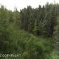 6920 Fairweather Drive, Anchorage, AK 99518 ID:13037607