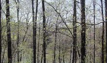 2.48 AC RIVER OAKS DRIVE Sparta, TN 38583