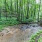 269 Valley Lane, Jasper, GA 30143 ID:13007410