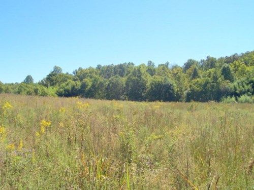 20.94 AC Rickman Road, Livingston, TN 38570