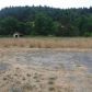 4865 Willis Creek Rd, Winston, OR 97496 ID:13066223