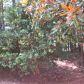 262 Ascott Lane, Woodstock, GA 30189 ID:13104445