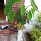 138 Stoneforest Drive, Woodstock, GA 30189 ID:13070000