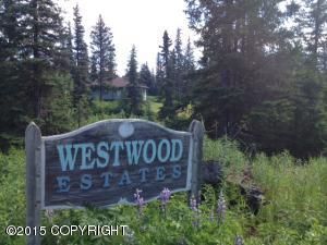 4975 Tundra Rose Road, Homer, AK 99603