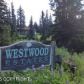 4975 Tundra Rose Road, Homer, AK 99603 ID:12968483