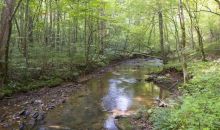 1124 Etowah Trail Dahlonega, GA 30533