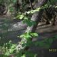 2060 Dean Mountain Road, Cleveland, GA 30528 ID:13135586