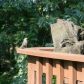 2963 Lula Lane, Kennesaw, GA 30144 ID:13129609