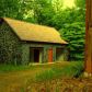298 Emerald Springs Lane, East Ellijay, GA 30539 ID:13143280