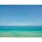 5555 COLLINS AV # 4B, Miami Beach, FL 33140 ID:13178788
