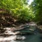 3908 Chaucer Wood Ne, Atlanta, GA 30319 ID:13114830