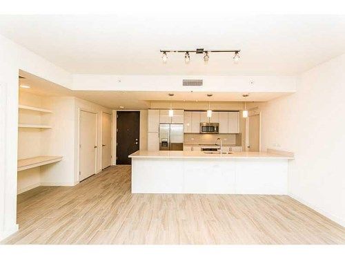 999 SW 1 # 1505, Miami, FL 33130
