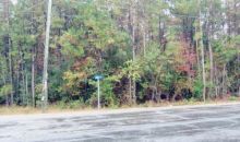 HWY 40 & PARK LN Highway Folsom, LA 70437