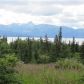 Tr 2 Frontier Lane, Homer, AK 99603 ID:13051920