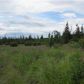 Tr 2 Frontier Lane, Homer, AK 99603 ID:13051922