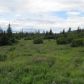 Tr 2 Frontier Lane, Homer, AK 99603 ID:13051923