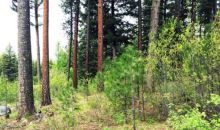 LOT 85 Majestic View Drive Mccall, ID 83638