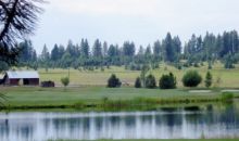 429 Wilhelm Creek Court Mccall, ID 83638