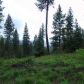 L4 B2 Tripod View Drive, Cascade, ID 83611 ID:13195171