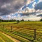 65 Cannon Farm Road Sw, Oxford, GA 30054 ID:13197241