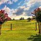 65 Cannon Farm Road Sw, Oxford, GA 30054 ID:13197245
