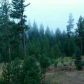 L4 B3 Tripod View Drive, Cascade, ID 83611 ID:13195772