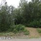 10651 E Jensen Road, Wasilla, AK 99654 ID:13048706