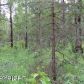 10651 E Jensen Road, Wasilla, AK 99654 ID:13048711