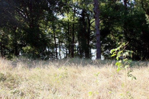 Lot ( CR 3504, Bullard, TX 75757