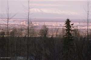 L1 B1 Burning Bush Drive, Anchorage, AK 99507