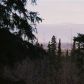 L1 B1 Burning Bush Drive, Anchorage, AK 99507 ID:13215077