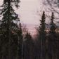 L1 B1 Burning Bush Drive, Anchorage, AK 99507 ID:13215079