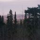 L1 B1 Burning Bush Drive, Anchorage, AK 99507 ID:13215081