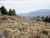 20 Knoll Drive Carson City, NV 89703