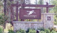 Lot 10 Crane Shore Drive Donnelly, ID 83615