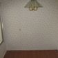 17234 North Pinion Lane, Sun City, AZ 85373 ID:13188101