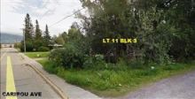424 E Caribou Avenue Palmer, AK 99645