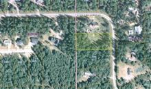 8471 E Gold Bullion Boulevard Palmer, AK 99645