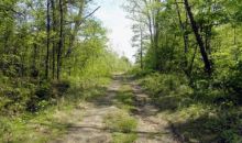 Lot 10 Quail Ridge Lane Knoxville, TN 37920