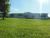 972 Triple Two Farm Rd Felicity, OH 45120