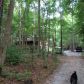 61 Lake Coweta Trail, Newnan, GA 30263 ID:13232097