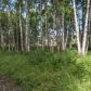 8471 E Gold Bullion Boulevard, Palmer, AK 99645 ID:13193201
