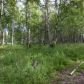 8471 E Gold Bullion Boulevard, Palmer, AK 99645 ID:13193202