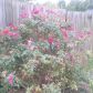 69 Triplet Trail, Douglasville, GA 30134 ID:13255956
