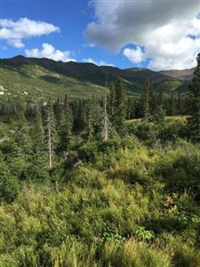 16741 Byron Drive, Anchorage, AK 99516