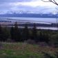 1103 Highlook Court, Homer, AK 99603 ID:13108989