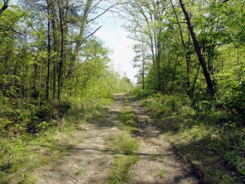 Lot 10 Quail Ridge Lane, Knoxville, TN 37920